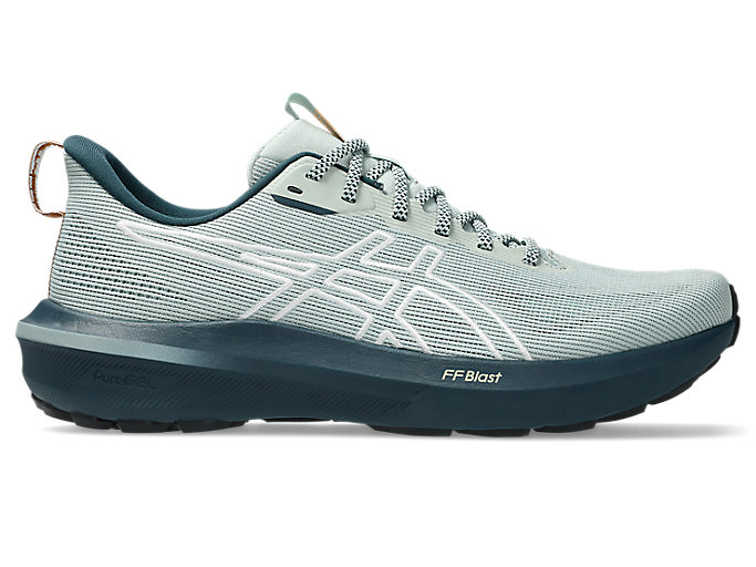 Men's ASICS GT-1000 14 Trail