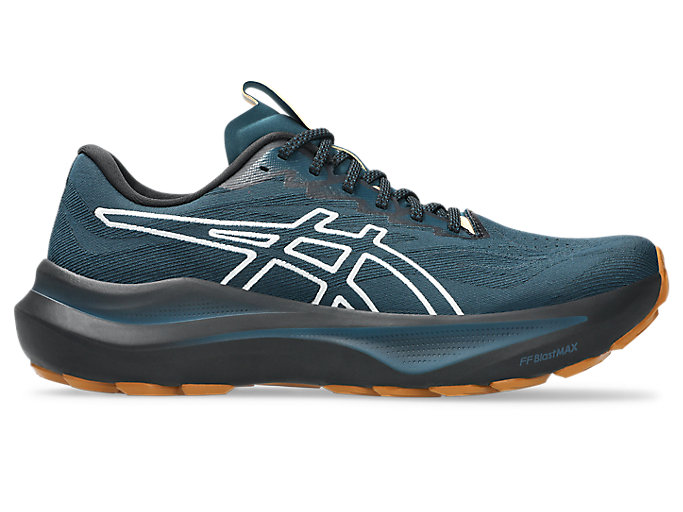 Men's ASICS GT-2000 14 Trail