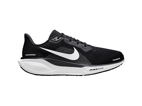 Men's Nike Pegasus 41 2025
